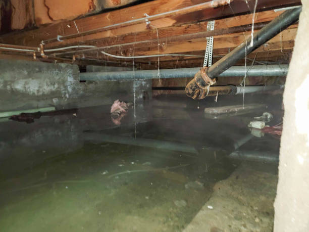 Best Ceiling water damage repair  in Stamford, TX