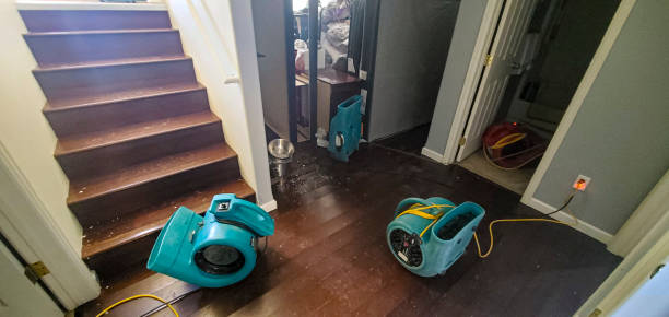 Best Fire Damage Restoration  in Stamford, TX