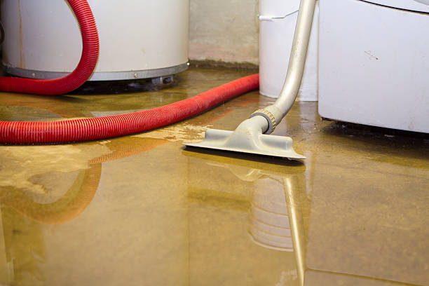 Best 24-hour water damage restoration  in Stamford, TX