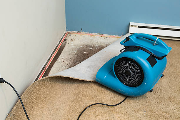 Best Sewage cleanup and water damage restoration  in Stamford, TX